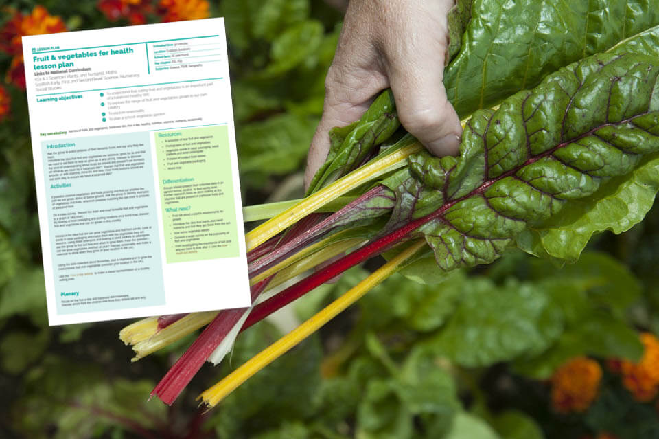 RHS KS1/2 Science Lesson Plan Fruit and Vegetables for Health Teachwire