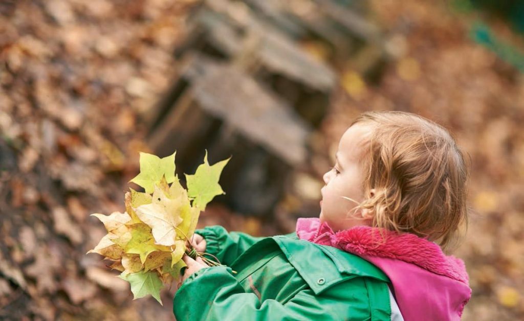 Nature Nurture CrossCurricular Outdoor Activities For EYFS Teachwire