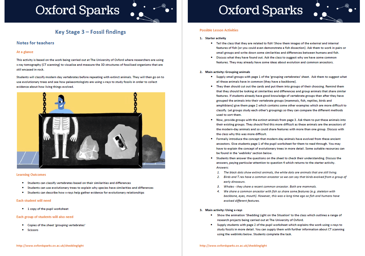 KS3 Science Lesson Fossil Findings Teachwire