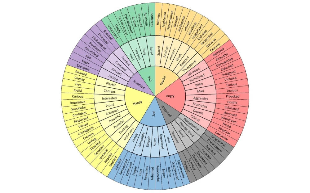 Emotive language examples - emotion wheel
