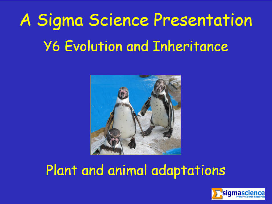 Evolution and inheritance – Plant and animal adaptations PowerPoint for  Year 6 science - Teachwire