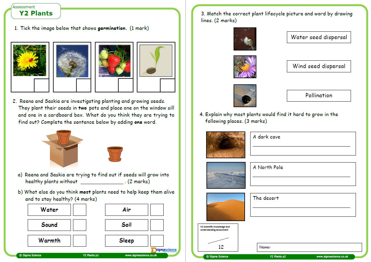 year 2 plants homework