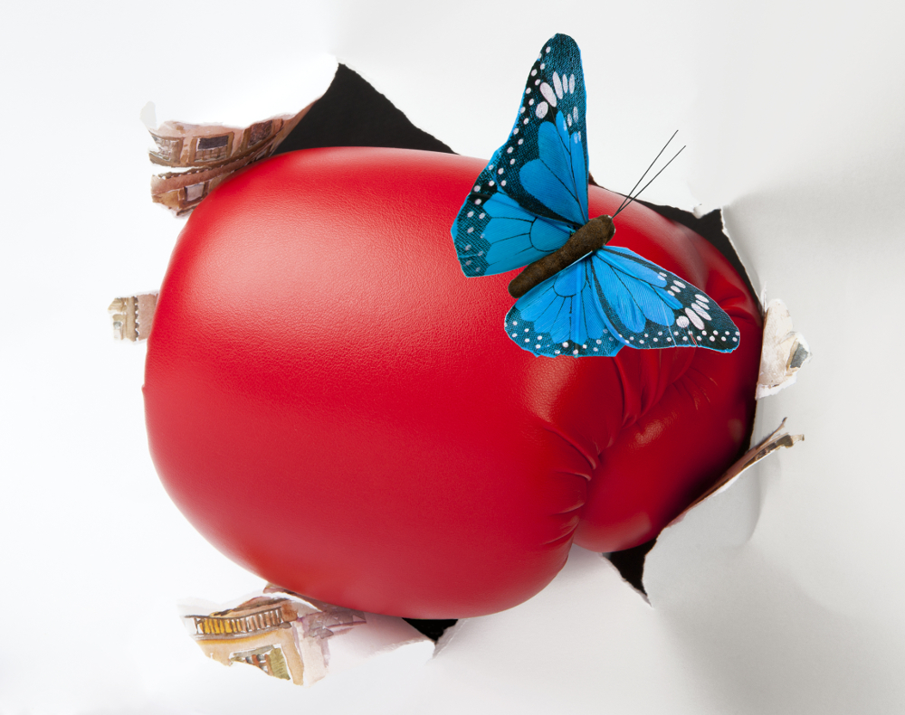 Butterfly landing on a boxing glove