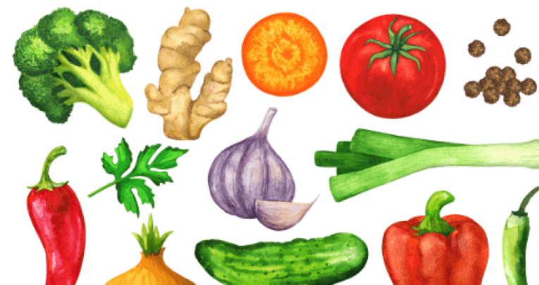 Watercolour pictures of different types of vegetables