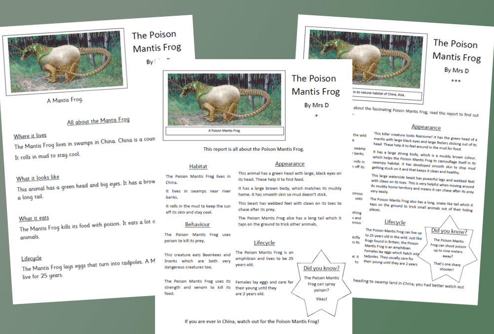 report writing features ks1