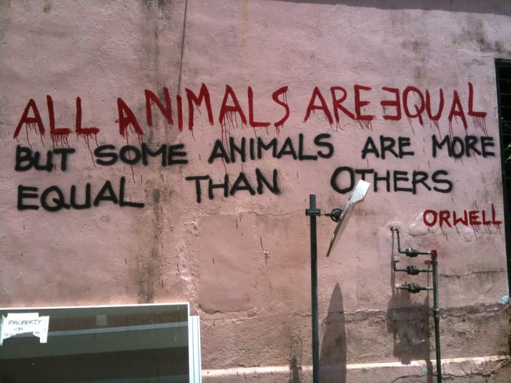 8 great teaching tools for reading George Orwell's Animal Farm in KS4 English - Teachwire 8 great teaching tools for reading George Orwell's Animal Farm in KS4 English - Teachwire