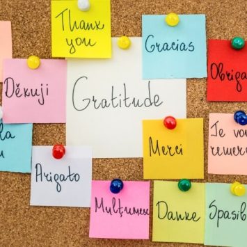pinboard covered with sticky notes expressing thanks in different languages