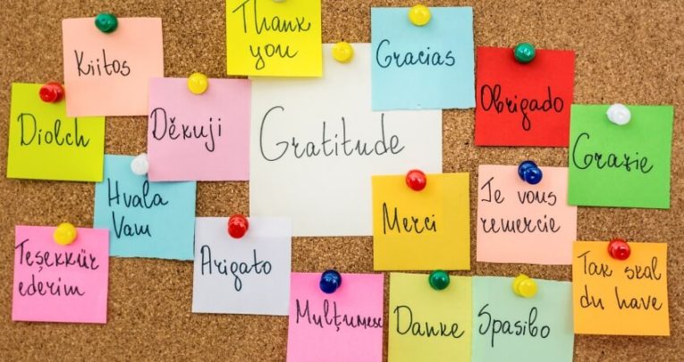 pinboard covered with sticky notes expressing thanks in different languages