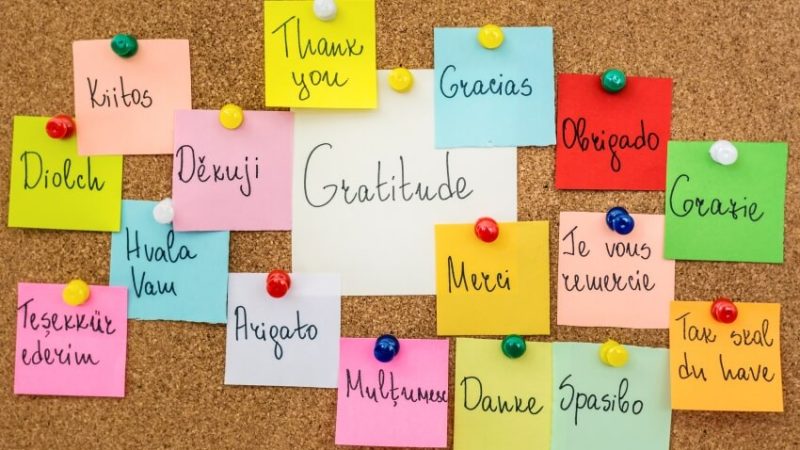 pinboard covered with sticky notes expressing thanks in different languages