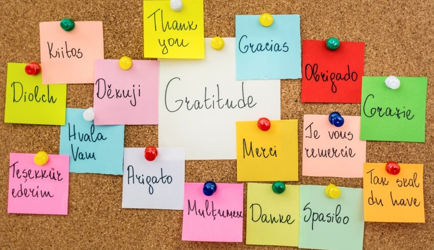 pinboard covered with sticky notes expressing thanks in different languages