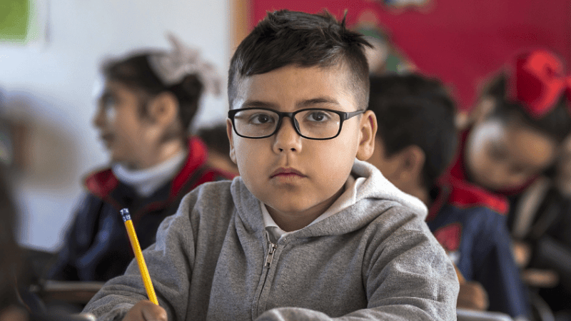 Schoolboy holding pencil, representing inclusion in schools