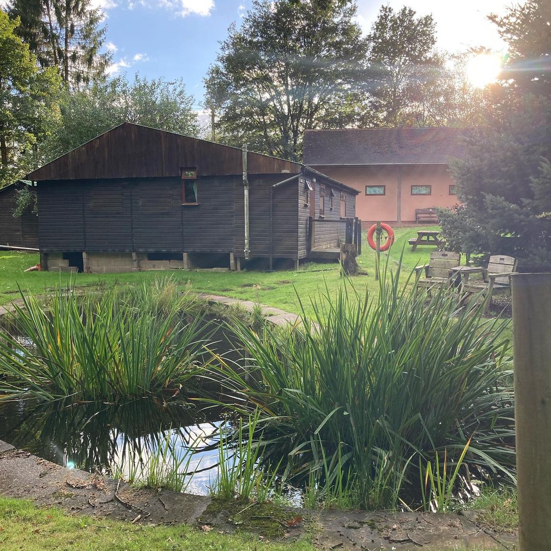 7. Reviews and Feedback from Visitors to Beaudesert Outdoor Activity Centre