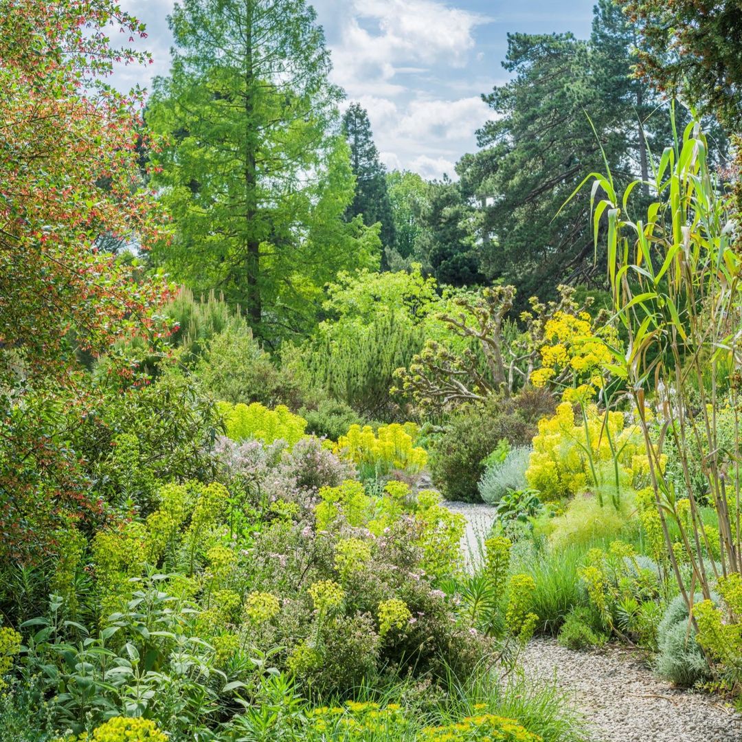 cubotanicgarden via Instagram