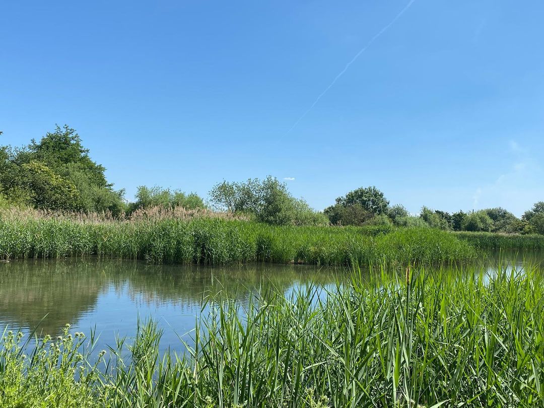 Flag Fen - Peterborough Archaeology