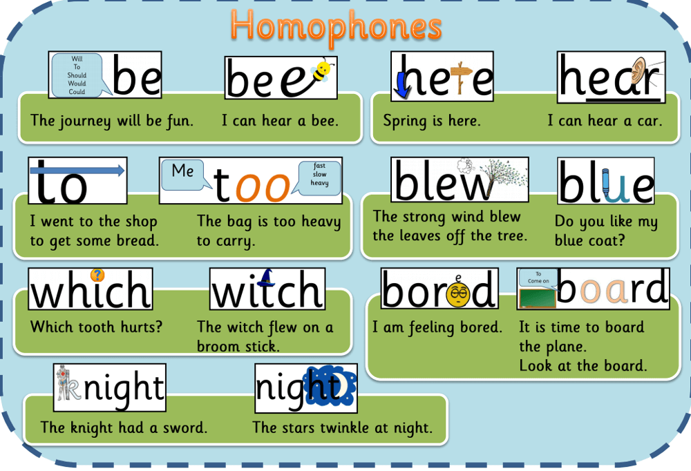 homophones homework year 5