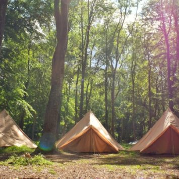 Tents in a forest