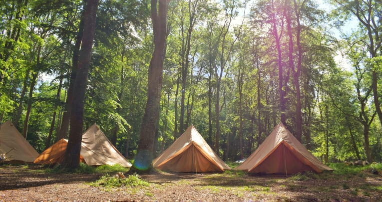 Tents in a forest