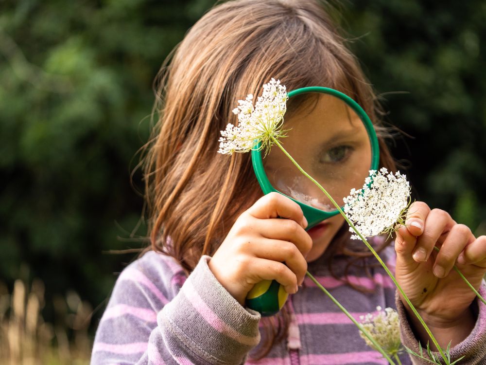 © National Trust Images