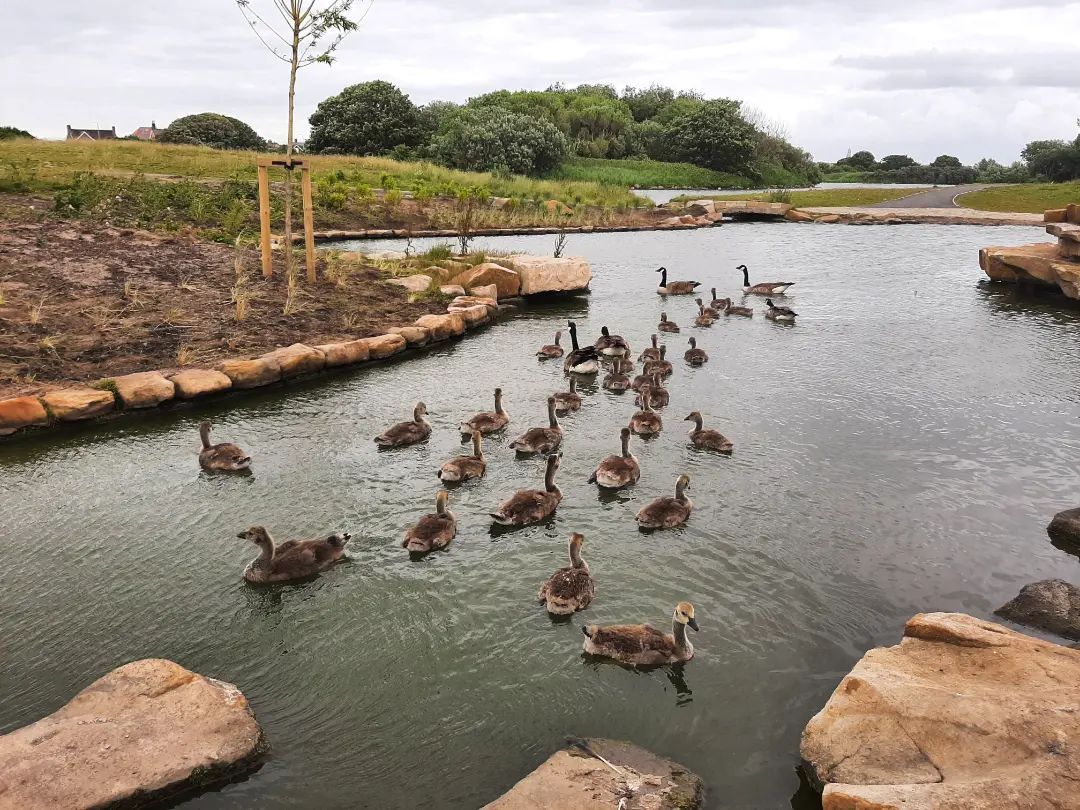 RSPB Fairhaven Lake Visitor Centre Teachwire