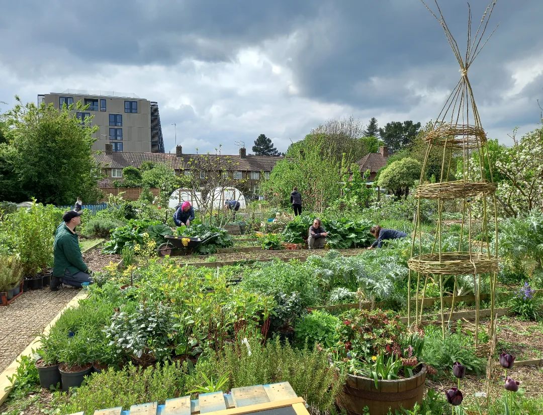 hammersmith_community_gardens via Instagram