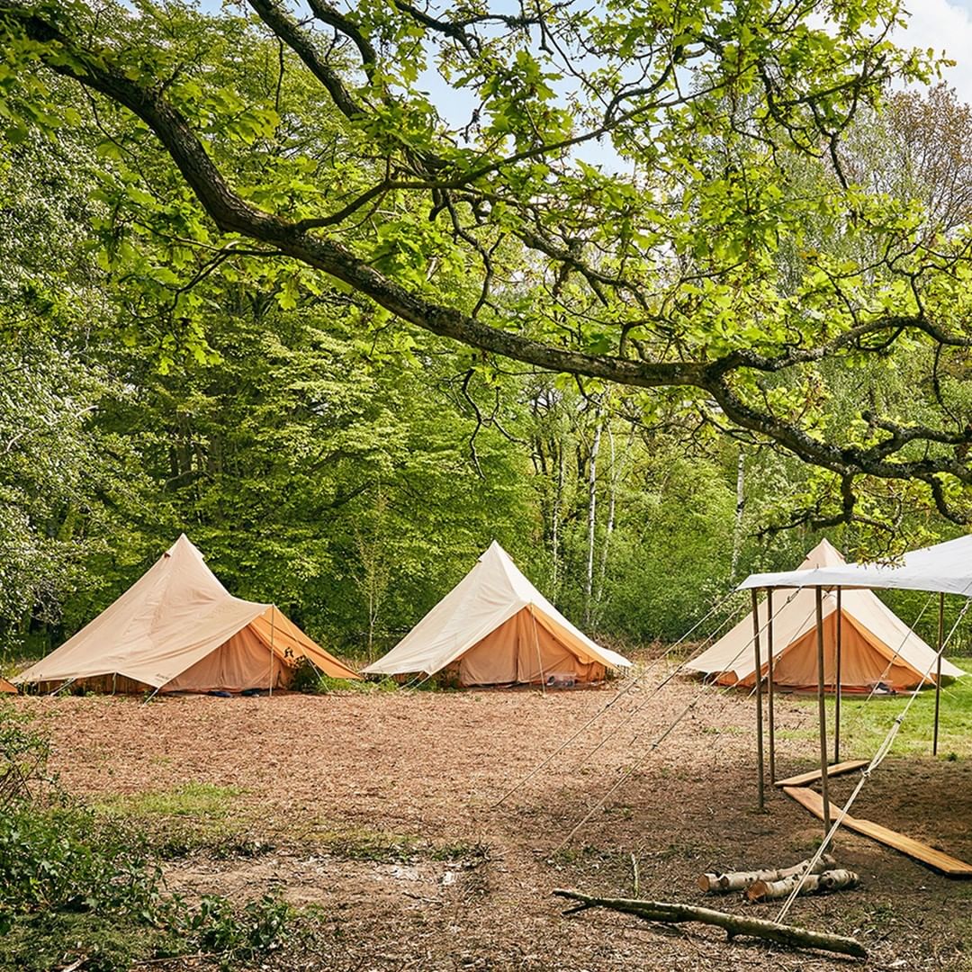 The Bushcraft Company - Penshurst Place - Teachwire