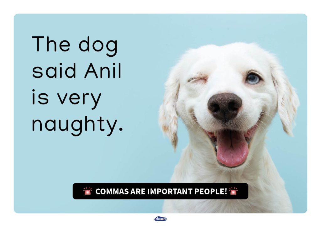 meme - the dog said Anil is naughty