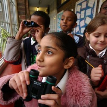 Children watching birds out of school window for Big Schools Birdwatch