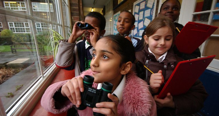 Children watching birds out of school window for Big Schools Birdwatch