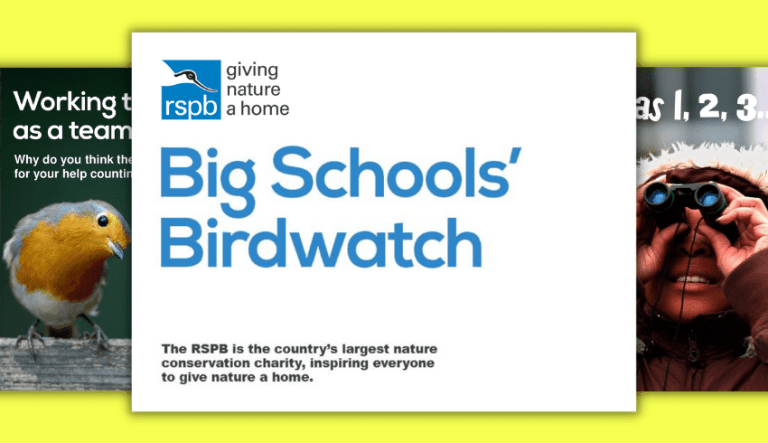 Big Schools' Birdwatch 2024 – Resources for schools - Teachwire