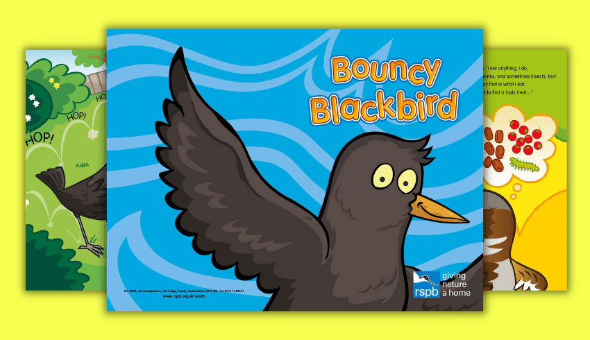 Bouncy Blackbird Big Schools Birdwatch Powerpoint