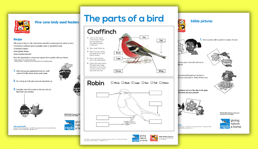 Big Schools Birdwatch activity sheets