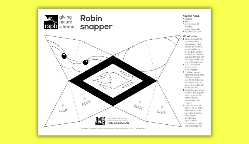 Big Schools Birdwatch snapper  templates