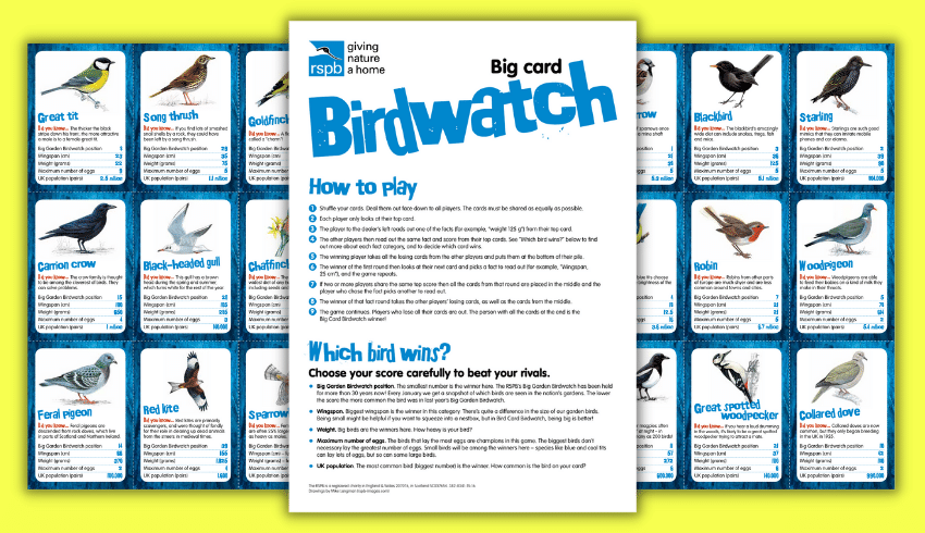 Big Schools' Birdwatch Top Trumps game