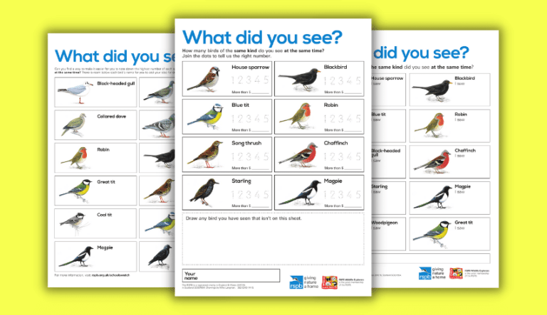 Big Schools' Birdwatch 2024 – Resources for schools - Teachwire