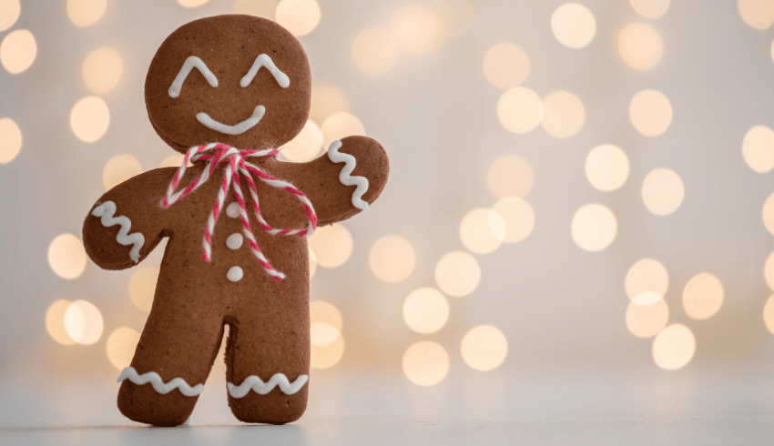 Gingerbread man representing STEM education activity