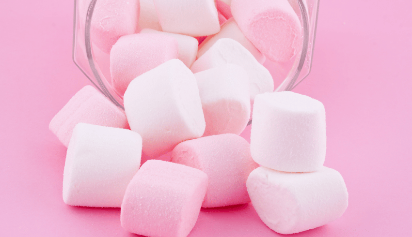 Marshmallow towers STEM education idea