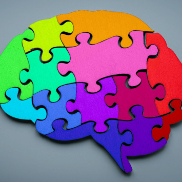 Jigsaw puzzle brain representing school exclusion