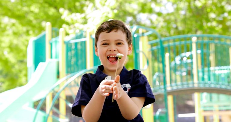 Boy with dandelion representing working with autistic children