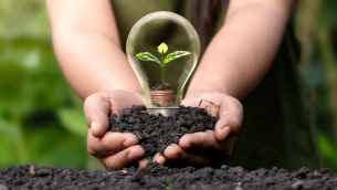 Earth Day represented by seed growing inside lightbulb