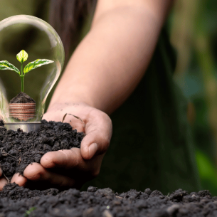 Earth Day represented by seed growing inside lightbulb
