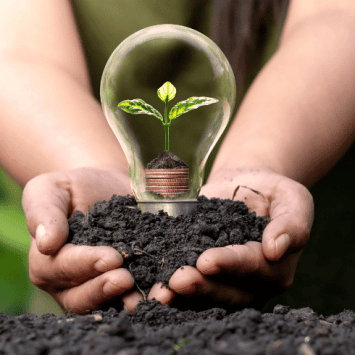 Earth Day represented by seed growing inside lightbulb