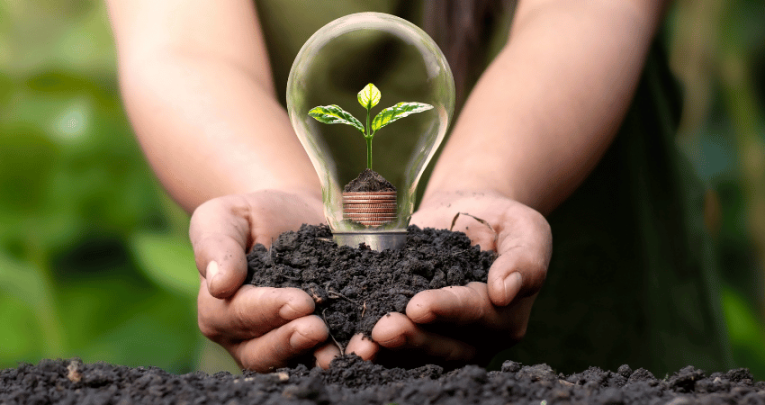 Earth Day represented by seed growing inside lightbulb