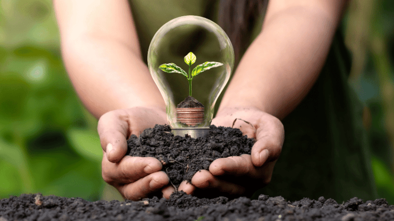 Earth Day represented by seed growing inside lightbulb