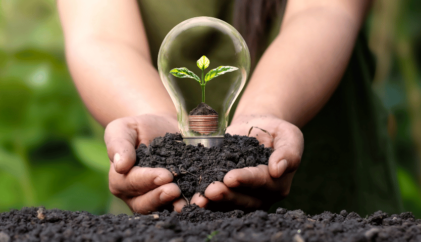 Earth Day represented by seed growing inside lightbulb