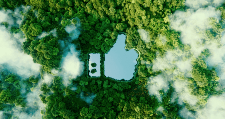 Thumbs up shaped clearing in rainforest to represent Earth Day