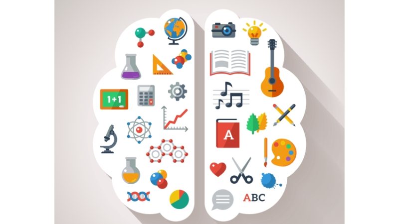 abstract illustration showing a brain split in half with science icons on one side and arts icons on the other