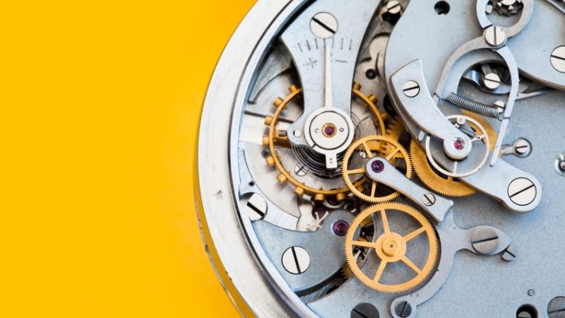 Close-up photograph of the inner workings of a watch, representing tier 2 vocabulary