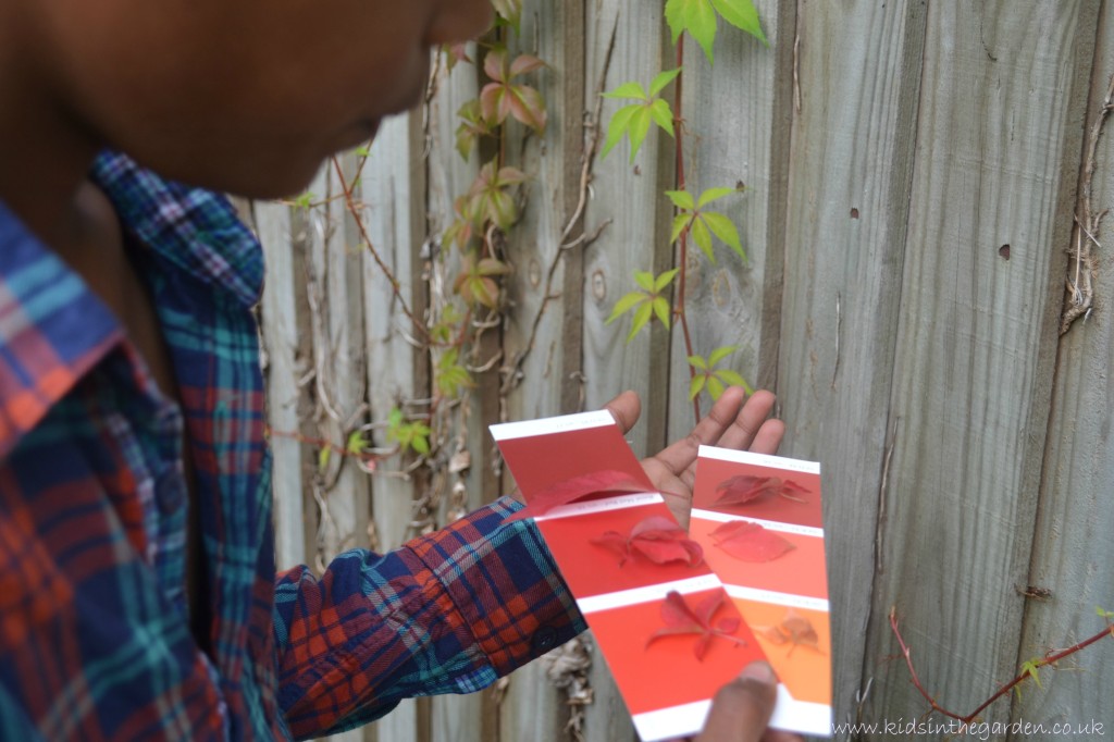 Reggio Emilia approach activity idea involving matching leaves to paint swatches