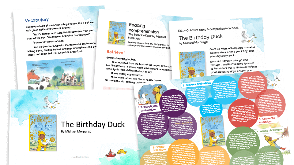 Birthday Duck KS1 reading comprehension pack