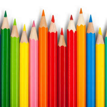 Coloured pencils in a row, representing differentiation